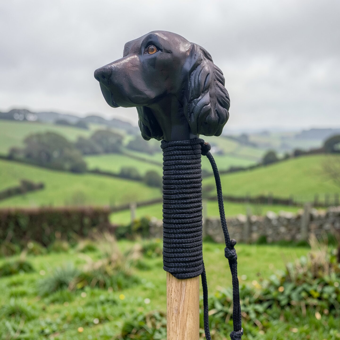 Black Spaniel walking stick